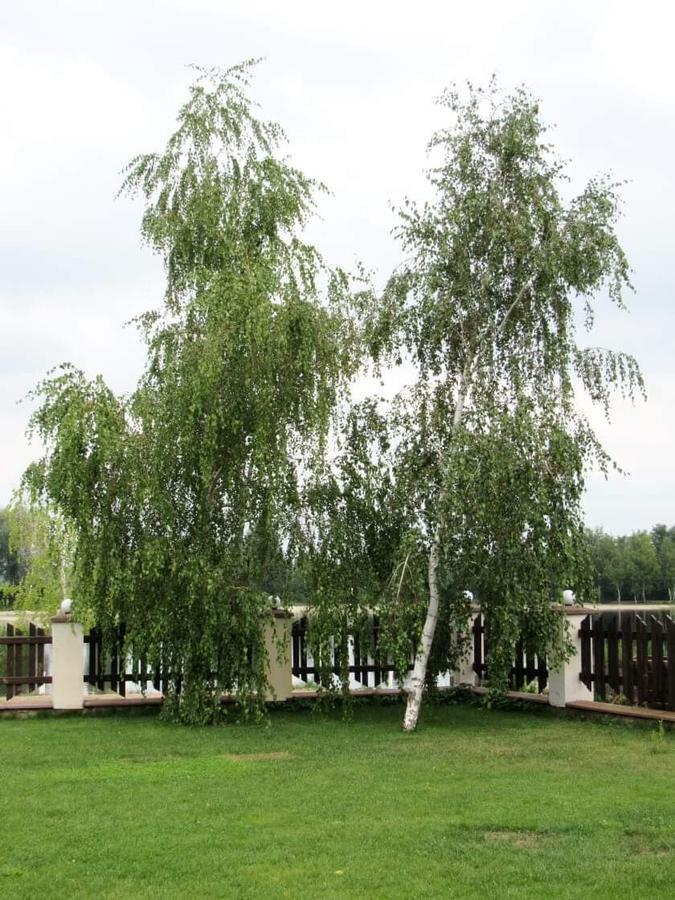 Hotel And Restaurant Complex Lubokray Pereyaslav-Khmelʼnytsʼkyy Buitenkant foto